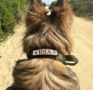 Tactical Dog Collar With Handle | Heavy-Duty K-9 Collar For Medium to Large Breeds